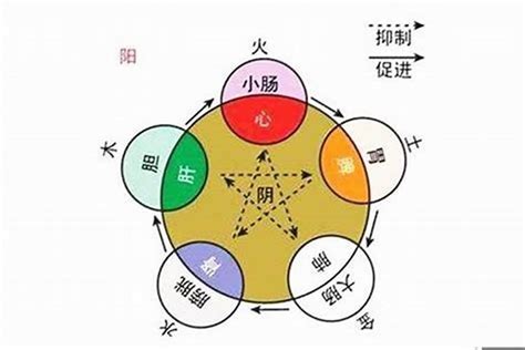 宜 五行|宜五行属什么，